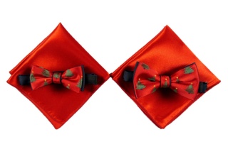 MJ-035 Mucha Jedwabna w Zestawie z Poszetką