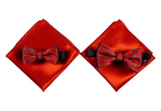 MJ-035 Mucha Jedwabna w Zestawie z Poszetką