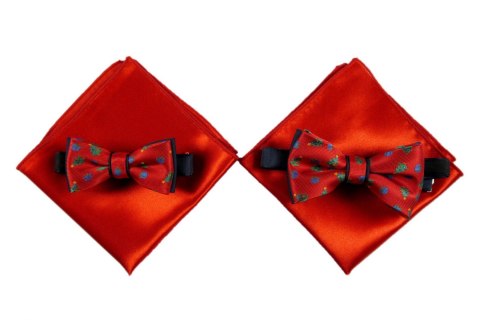 MJ-035 Mucha Jedwabna w Zestawie z Poszetką