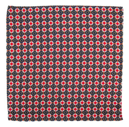 PJ-104 Silk Pocket Square with a Pattern