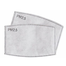 PM 2.5 filter - 25 pc.