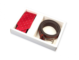 ZP-002 Gift set for men: silk tie + belt
