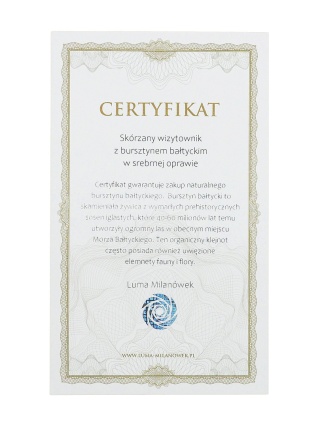 Classic card case with amber