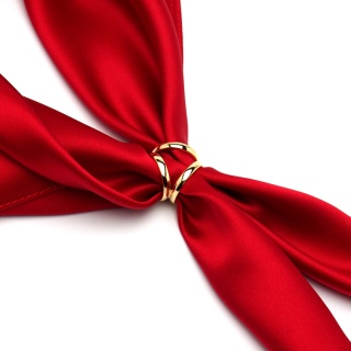 Smaller gold-plated silver scarf (pr. 925)