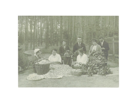 AJ-15A Apaszka jedwabna jubileuszowa, stulecie milanowskiego jedwabiu 90x90 cm