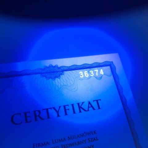 Jedwabna apaszka dwustronna piwonie 68x68cm AD7-017