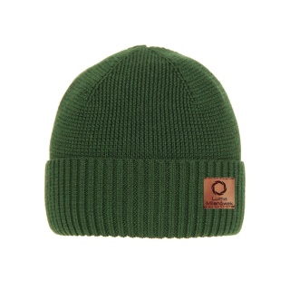 Men's merino wool hat, green