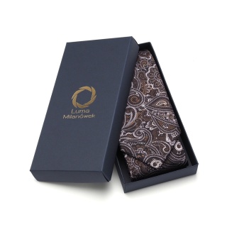 Men's silk tie paisley pattern IT-035