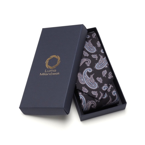 Men's silk tie paisley pattern IT-038