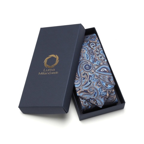 Men's silk tie paisley pattern IT-039