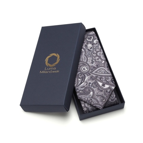 Men's silk tie paisley pattern IT-043