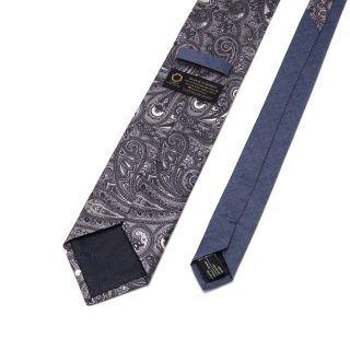 Men's silk tie paisley pattern IT-043