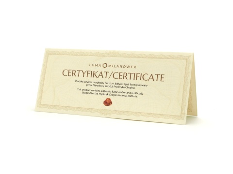 Fryderyk Chopin ballpoint pen with amber KPZ-CH