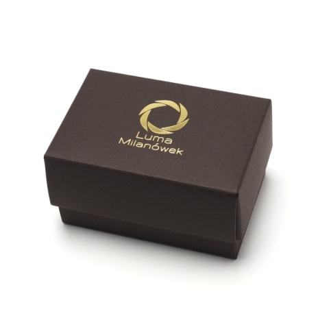 Titanium cufflinks with watch movement