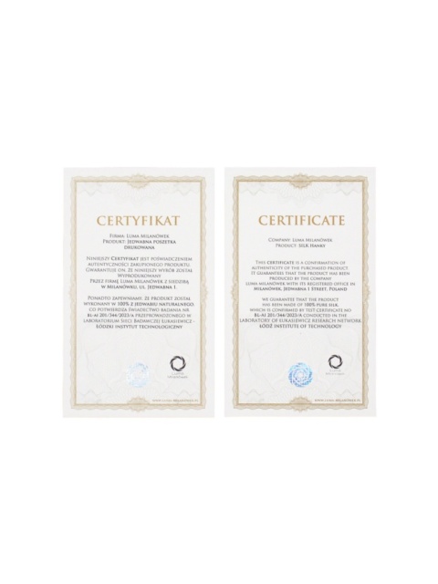 Silk suit pocket square 30x30 cm PJ-056