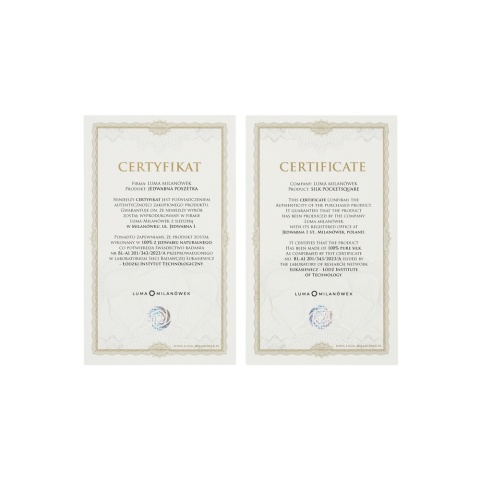 Poszetka Warszawa 100% silk 30x30 cm PJ-025