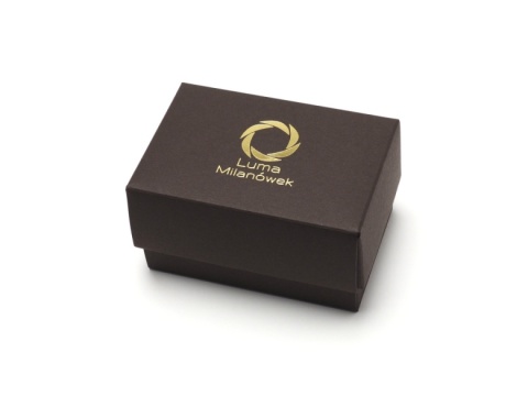 Srebrna apaszetka z bursztynem (pr. 925) AA-118